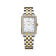 <strong>RAYMOND WEIL</strong> <br> TOCATTA NACRE CR RELIEF 68 DIAMANTS <br>