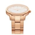 <strong>DANIEL WELLINGTON</strong> <br> ICONIC LINK <br>