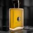 <strong>AMOUAGE</strong> <br> OUVERTURE MAN <br> Eau de Parfum